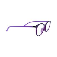 LOUIS STYLE N-5075 AG74 Spectacles Frame in Matte Purple +mid Silver — view 2