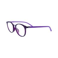 LOUIS STYLE N-5075 AG74 Spectacles Frame in Matte Purple +mid Silver — view 3